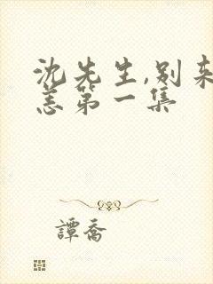 沈先生,别来无恙第一集