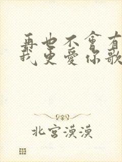 再也不会有人比我更爱你歌词