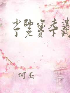 少帅你老婆又跑了免费下载全本