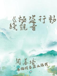 《极盗行动》在线观看