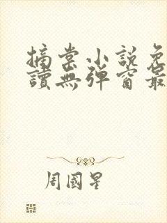 摘棠小说免费阅读无弹窗最新章节