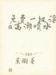 免费一级淫片aa高潮喷水