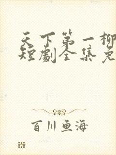 天下第一柳如烟短剧全集免费观看