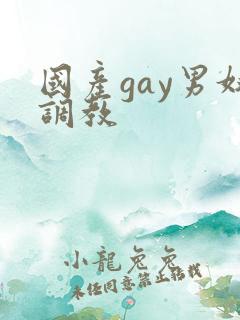 国产gay男奴调教