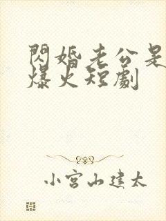 闪婚老公是总裁爆火短剧