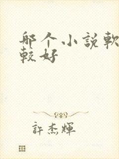 哪个小说软件比较好