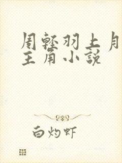 周轻羽上月天尊主角小说