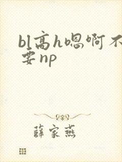 bl高h嗯啊不要np