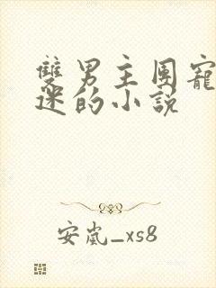 双男主团宠万人迷的小说