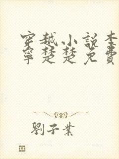 穿越小说李辰安宁楚楚免费阅读