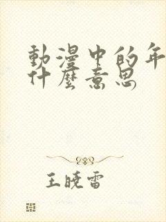 动漫中的年番是什么意思