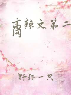 高辣文第二书包网