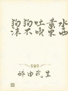 狗狗吐黄水带泡沫不吃东西怎么办