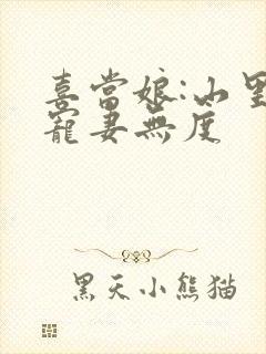 喜当娘:山里汉宠妻无度