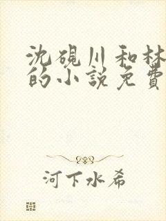 沈砚川和林娇娇的小说免费阅读