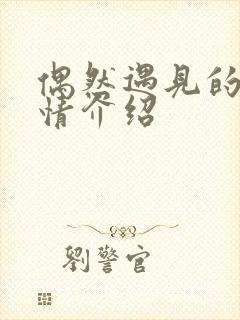 偶然遇见的你剧情介绍