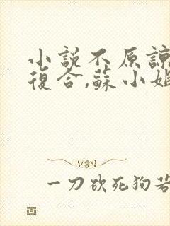 小说不原谅,不复合,苏小姐独美txt