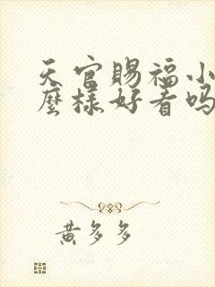 天官赐福小说怎么样好看吗