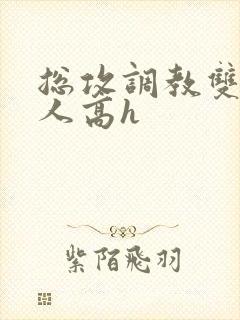 总攻调教双性美人高h