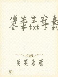 傅先生宠妻无度全本txt下载