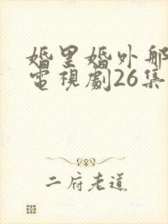 婚里婚外那些事电视剧26集免费观看