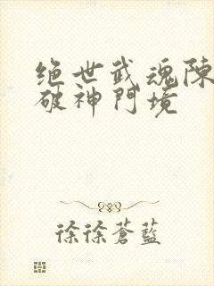 绝世武魂陈枫突破神门境