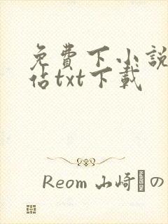 免费下小说的网站txt下载