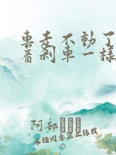 车走不动了像踩着刹车一样