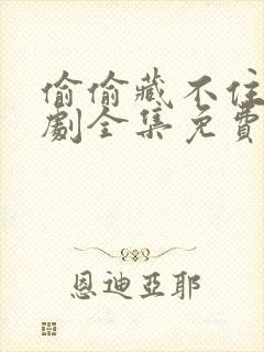 偷偷藏不住电视剧全集免费观