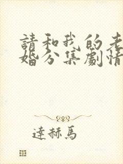 请和我的老公结婚分集剧情