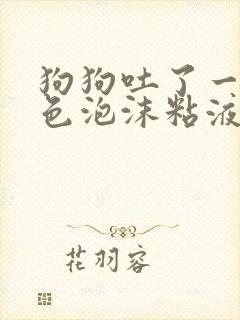 狗狗吐了一滩黄色泡沫粘液