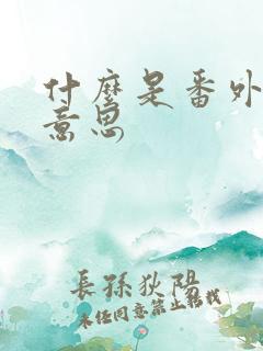 什么是番外篇的意思