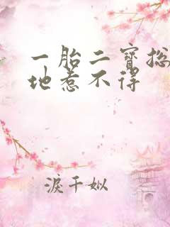 一胎二宝总裁爹地惹不得