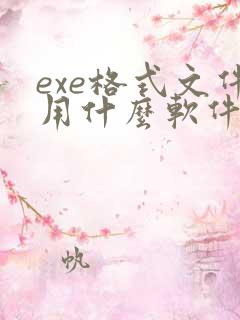 exe格式文件用什么软件打开