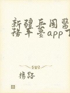 新疆兵团医保服务平台app下载安装