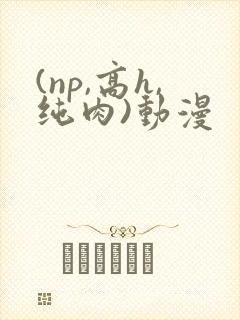 (np,高h,纯肉)动漫