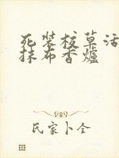 死装校草活该被抹布香炉