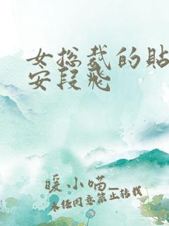 女总裁的贴身保安段飞