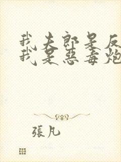 我夫郎是反派而我是恶毒炮灰