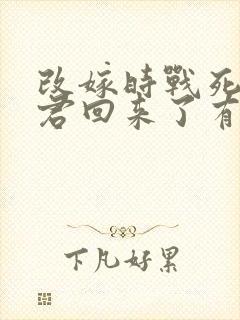 改嫁时战死的夫君回来了有几部