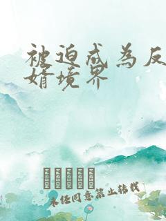 被迫成为反派赘婿境界