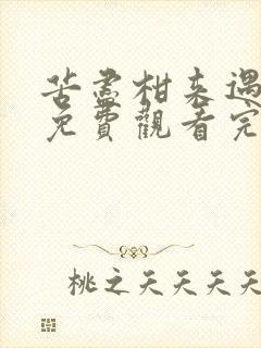 苦尽柑来遇见你免费观看完整版电视剧高清