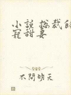 小说 总裁的独宠甜妻