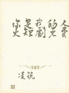 你是我的人间烟火短剧免费观看