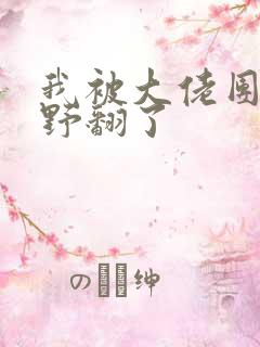 我被大佬团宠我野翻了