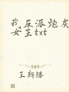 我反派炮灰专撩女主txt
