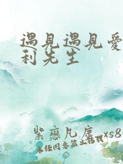 遇见遇见爱情的利先生