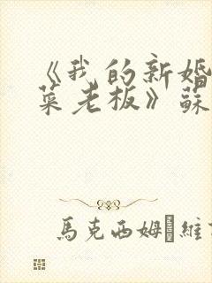 《我的新婚妻子菜老板》苏畅