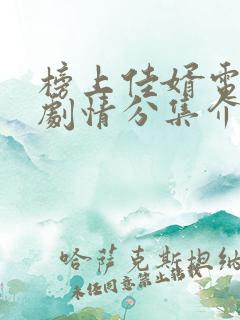 榜上佳婿电视剧剧情分集介绍