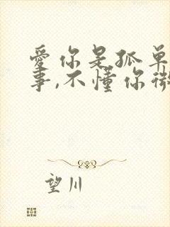 爱你是孤单的心事,不懂你微笑的意思